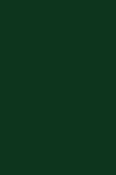 Changing Syntheses in Development Changing Syntheses in Development