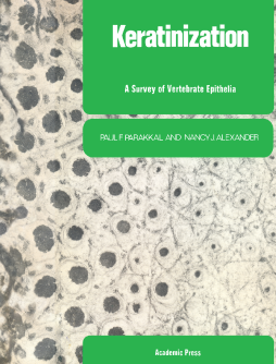 Keratinization Keratinization
