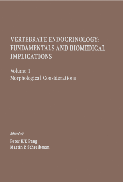 Morphological Considerations Morphological Considerations