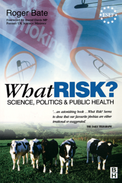 What Risk? What Risk?