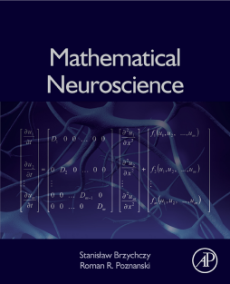 Mathematical Neuroscience