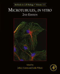 Microtubules, in vitro Microtubules, in vitro