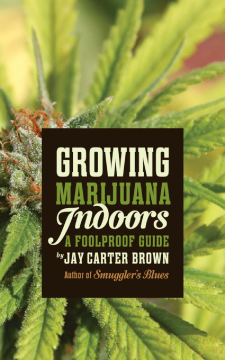 Growing Marijuana Indoors Growing Marijuana Indoors