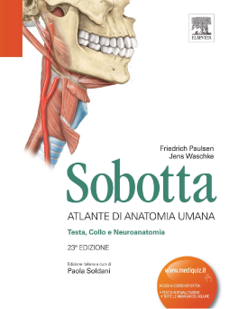 Sobotta - Atlante di Anatomia Umana Sobotta - Atlante di Anatomia Umana