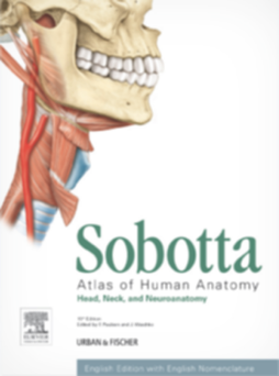 Sobotta Atlas of Human Anatomy, Vol. 3, 15th ed., English Sobotta Atlas of Human Anatomy, Vol. 3, 15th ed., English