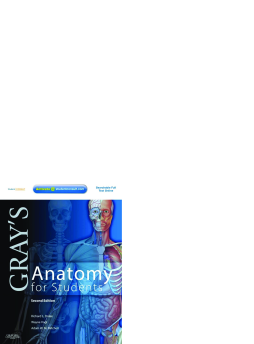 Gray's Anatomy for Students E-Book Gray's Anatomy for Students E-Book