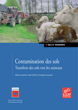 Contamination des sols Contamination des sols