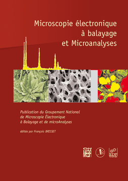 Microscopie électronique à balayage et microanalyses Microscopie électronique à balayage et microanalyses