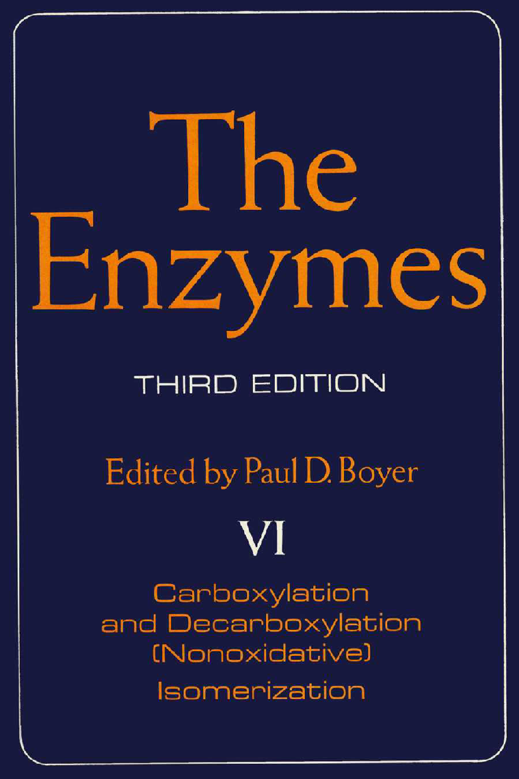 The Enzymes