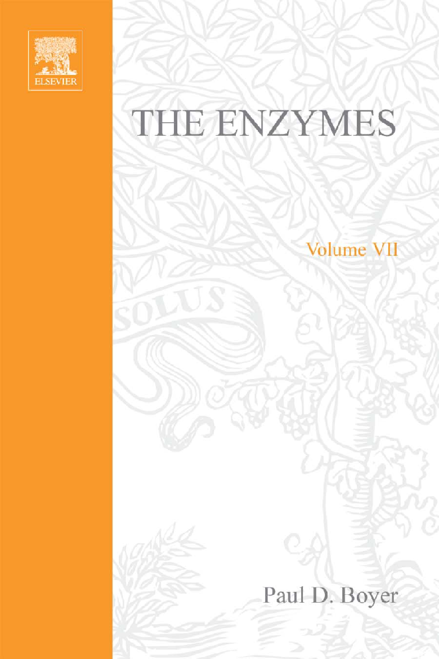 The Enzymes