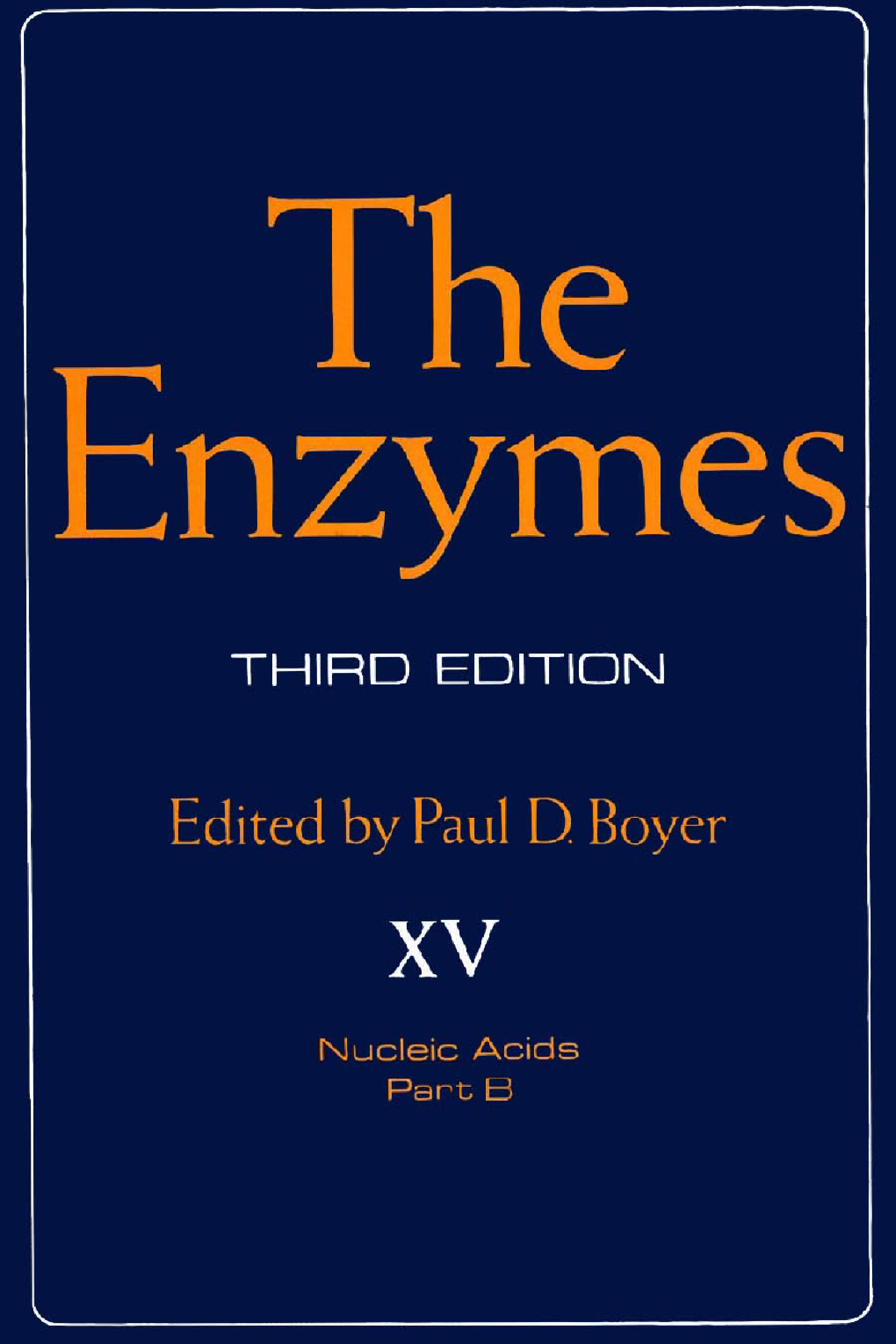 The Enzymes