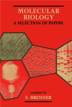 Molecular Biology Molecular Biology