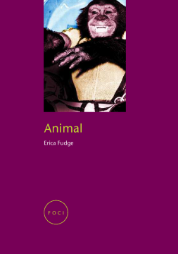 Animal Animal
