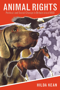 Animal Rights Animal Rights