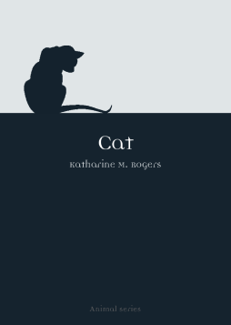 Cat Cat