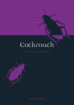 Cockroach Cockroach