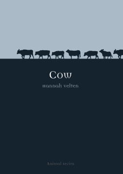 Cow Cow