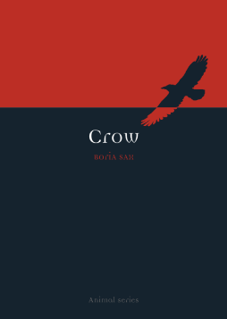 Crow Crow