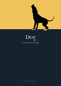 Dog Dog
