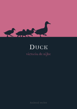 Duck Duck