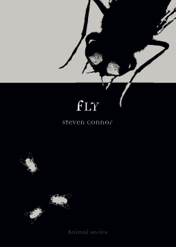 Fly Fly