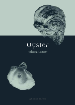 Oyster Oyster