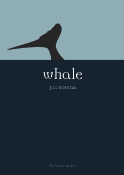 Whale Whale