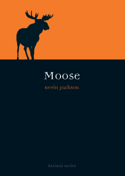 Moose Moose