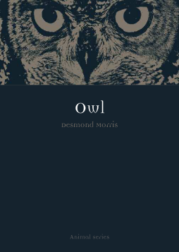 Owl Owl