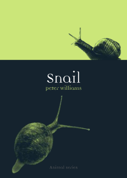 Snail Snail