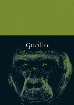 Gorilla Gorilla