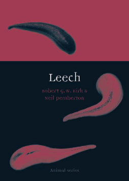 Leech Leech