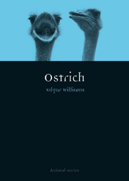 Ostrich Ostrich
