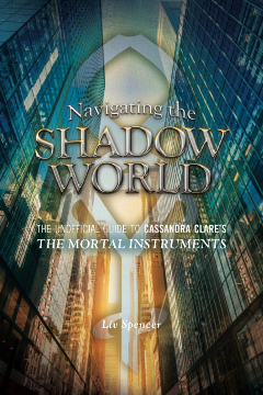 Navigating The Shadow World Navigating The Shadow World