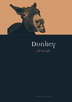 Donkey Donkey
