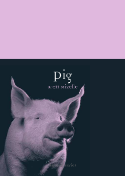 Pig Pig