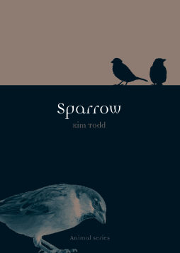 Sparrow Sparrow