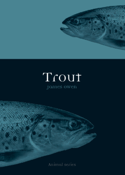 Trout Trout