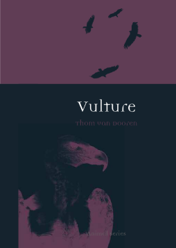 Vulture Vulture