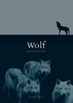 Wolf Wolf