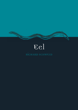 Eel Eel
