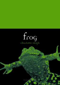 Frog Frog