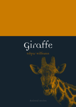 Giraffe Giraffe