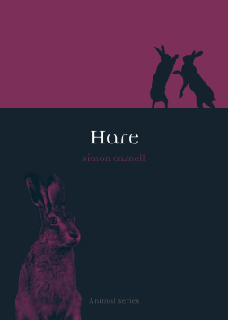 Hare Hare