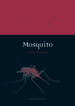 Mosquito Mosquito