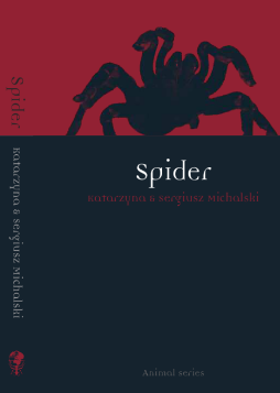 Spider Spider
