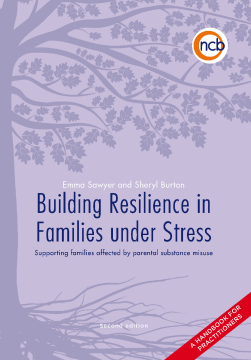 Building Resilience in Families Under Stress, Second Edition