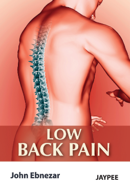 Low Back Pain Low Back Pain