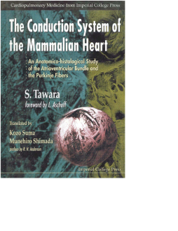 Conduction System Of The Mammalian Heart, The: An Anatomico-histological Study Of The Atrioventricular Bundle And The Purkinje Fibers Conduction System Of The Mammalian Heart, The: An Anatomico-histological Study Of The Atrioventricular Bundle And The Purkinje Fibers