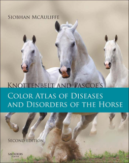 Knottenbelt and Pascoe's Color Atlas of Diseases and Disorders of the Horse E-Book